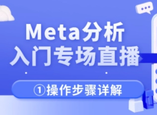 Meta分析入门秘籍