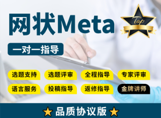 【协议二区版】网状Meta分析全程指导